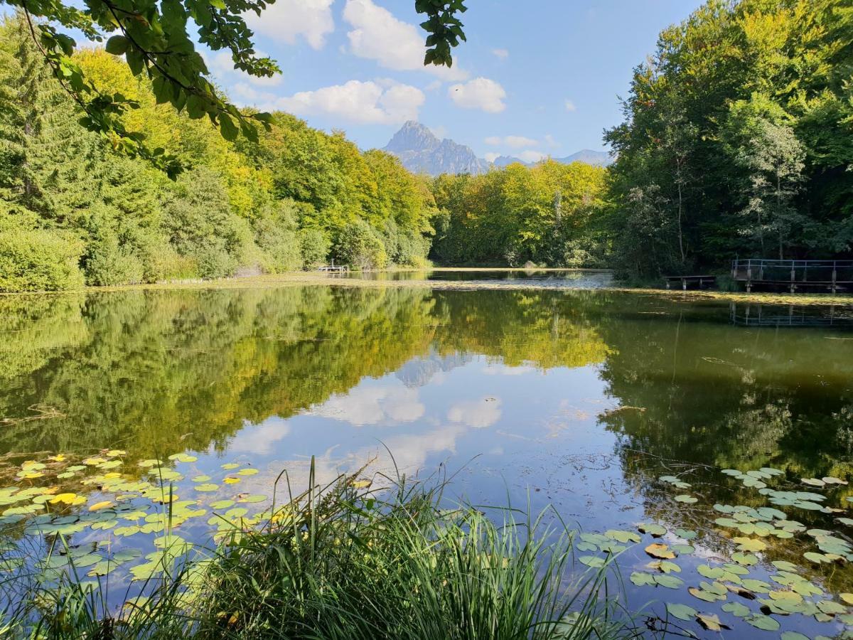 Entre Lac Et Montagnes Бернекс Экстерьер фото